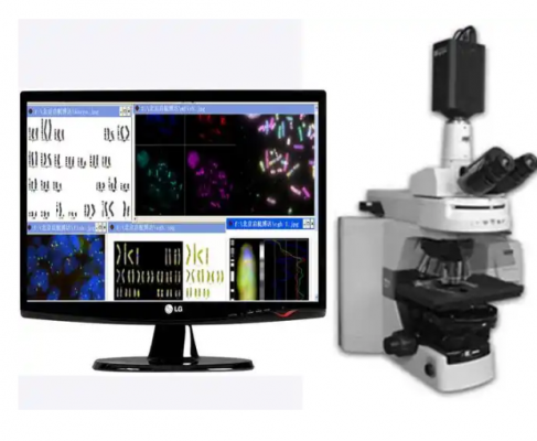 染色體核型分析軟件zixing vision